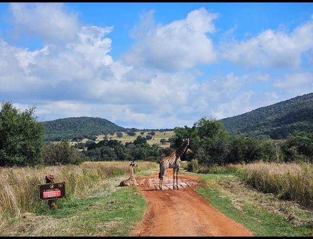 3 BEDROOM HOUSE FOR SALE IN MODIMOLLE